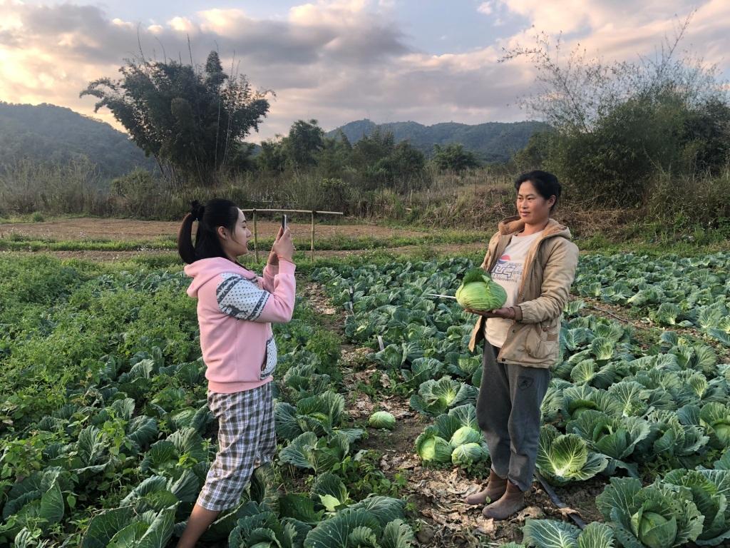 ການບັນທຶກບົດຮຽນດີເດັ່ນເຕັກນິກການຜະລິດກະສິກຳ